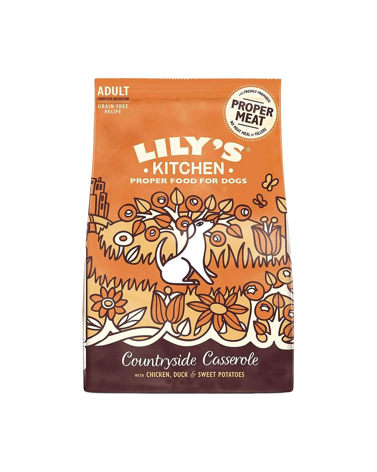 غذای سگ خشک بالغ نژاد کوچک