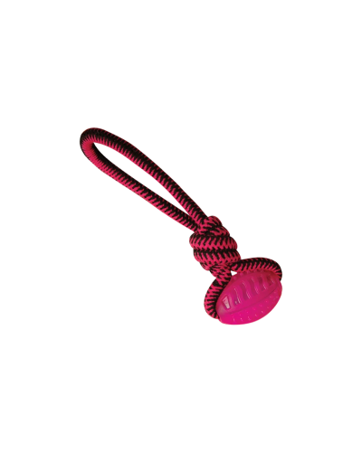 دخترانه نژاد کوچک